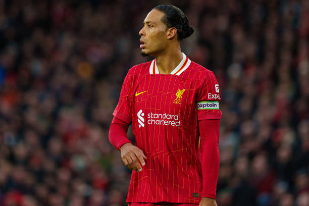 需要的不仅 需要的不仅