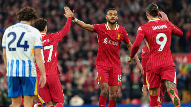 背后的付出 背后的付出