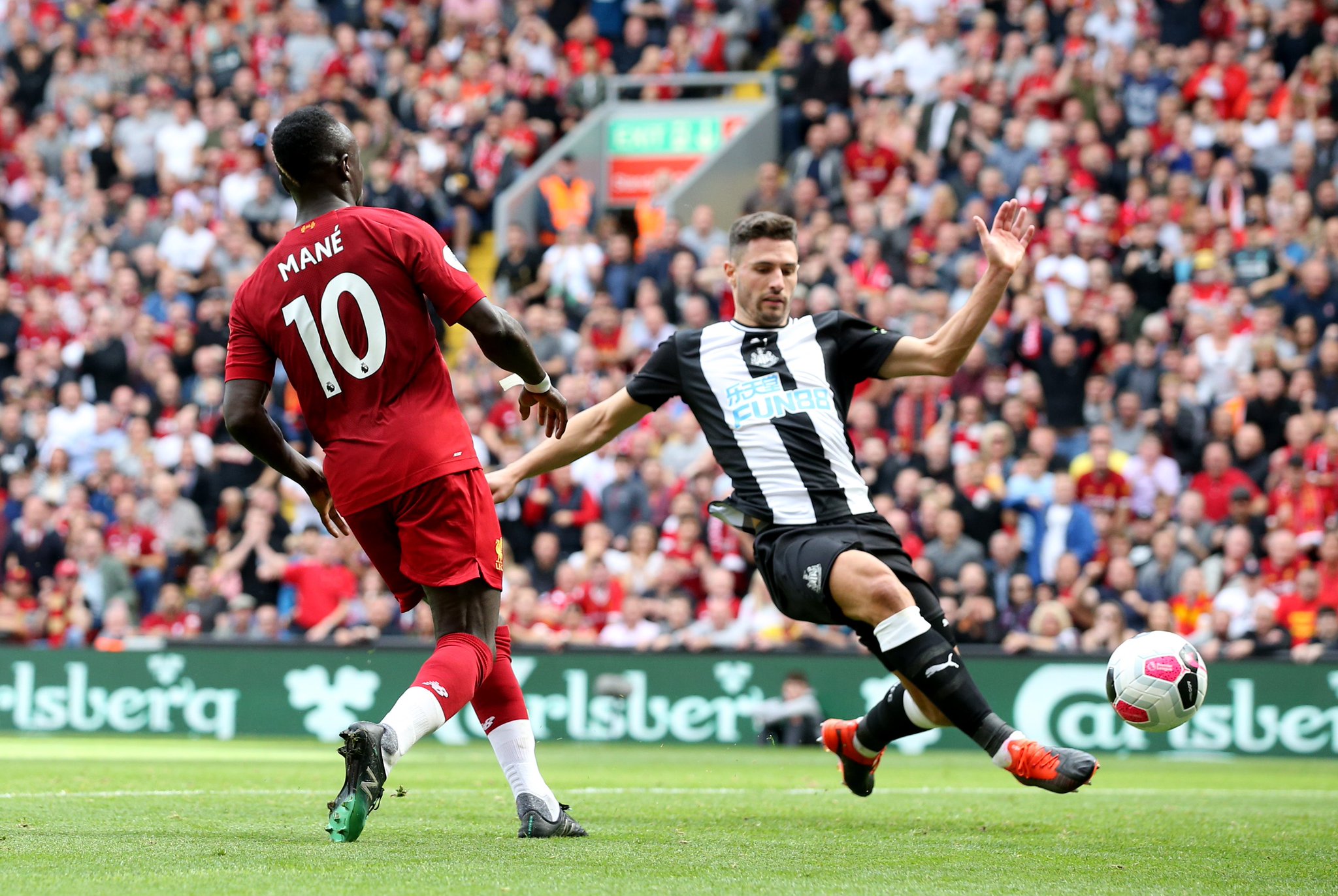 目前的阵容 目前的阵容